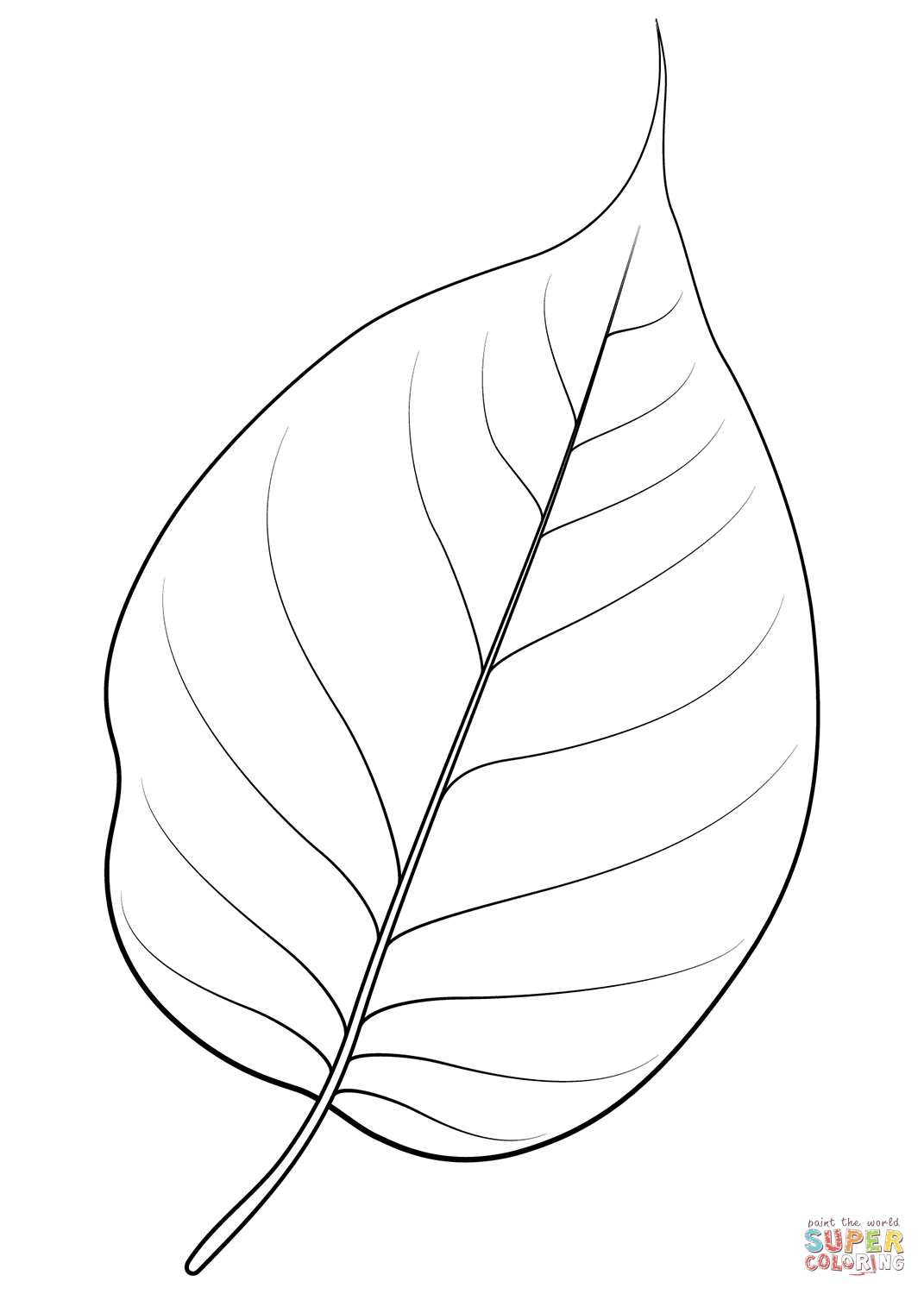 Dibujo de hoja de naranjo osage para colorear dibujos para colorear imprimir gratis