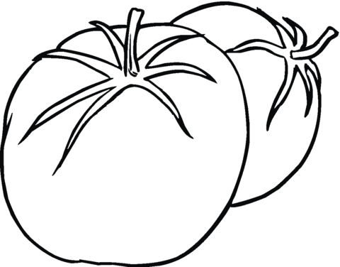 Tomate derriãre la page autre tomate coloriage carrot colour colouring pages easy drawings