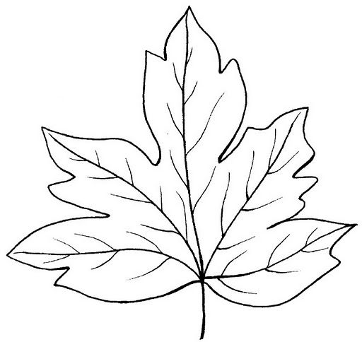 Resultado de imagen para hojas de arboles para decorar leaf drawing decoupage paper printable wood burning patterns