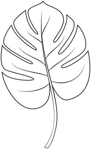 Dibujo de hoja tropical para colorear dibujos para colorear imprimir gratis