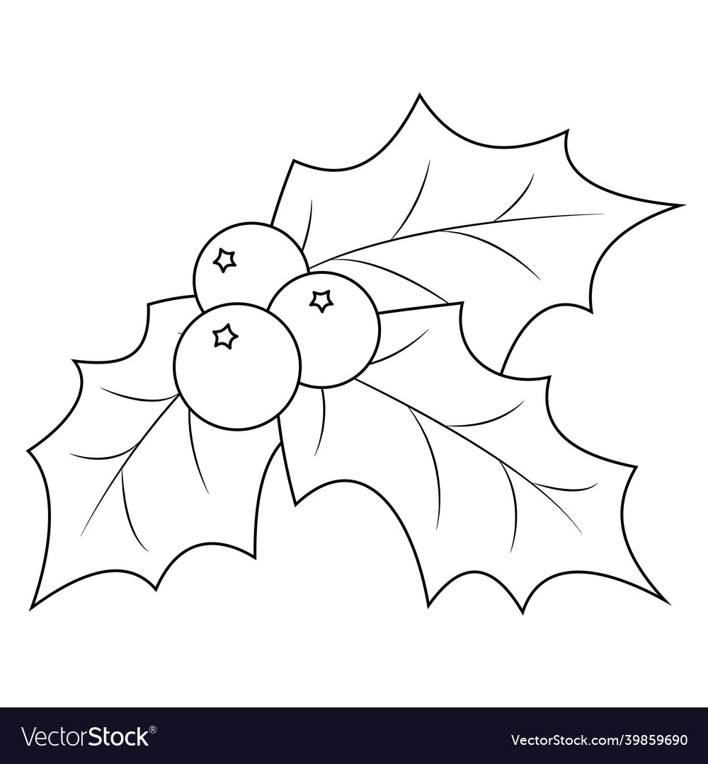 Coloring book page holly berry leaves royalty free vector