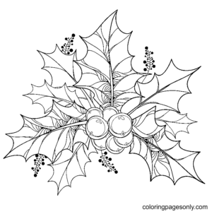 Christmas holly coloring pages printable for free download