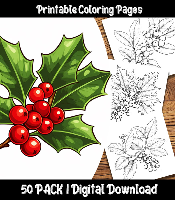 Christmas holly coloring pages the happy colorist