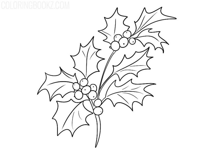 Free printable christmas holly coloring page