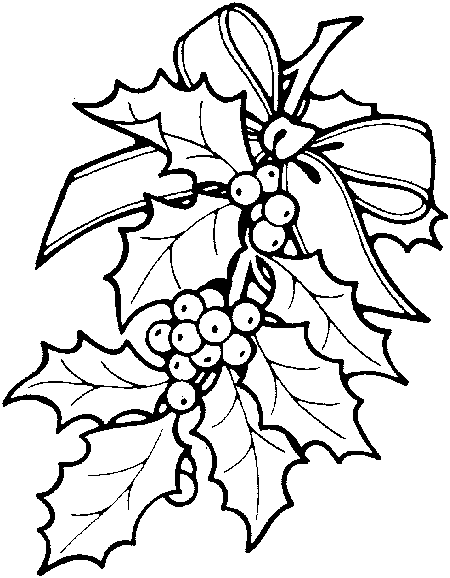 Christmas holly coloring pages holly and berry xmas team colors