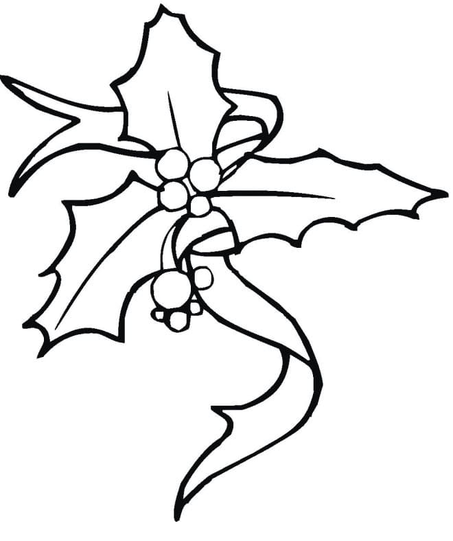 Christmas holly to print coloring page