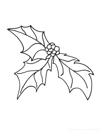 Holly christmas image coloring page