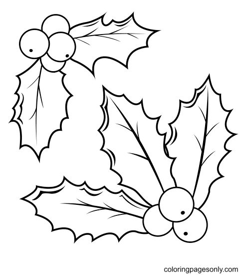 Christmas holly coloring pages