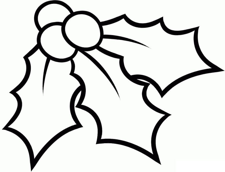 Christmas holly picture coloring page