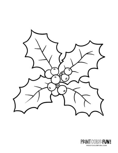 Holly clipart coloring pages for festive christmas crafting fun at