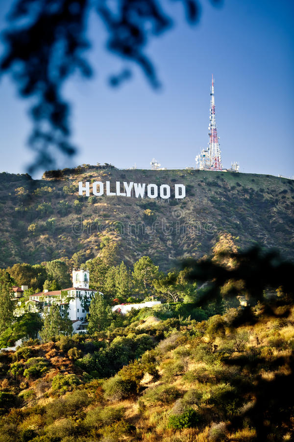 Hollywood Wallpaper for iPhone 11, Pro Max, X, 8, 7, 6 - Free Download on  3Wallpapers