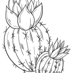 Cactus coloring pages printable for free download