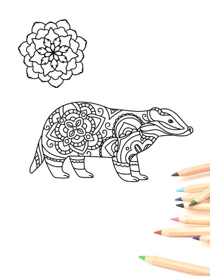 Honey badger coloring page instant download animals coloring printable line art mandala badger farm animal adult coloring pages