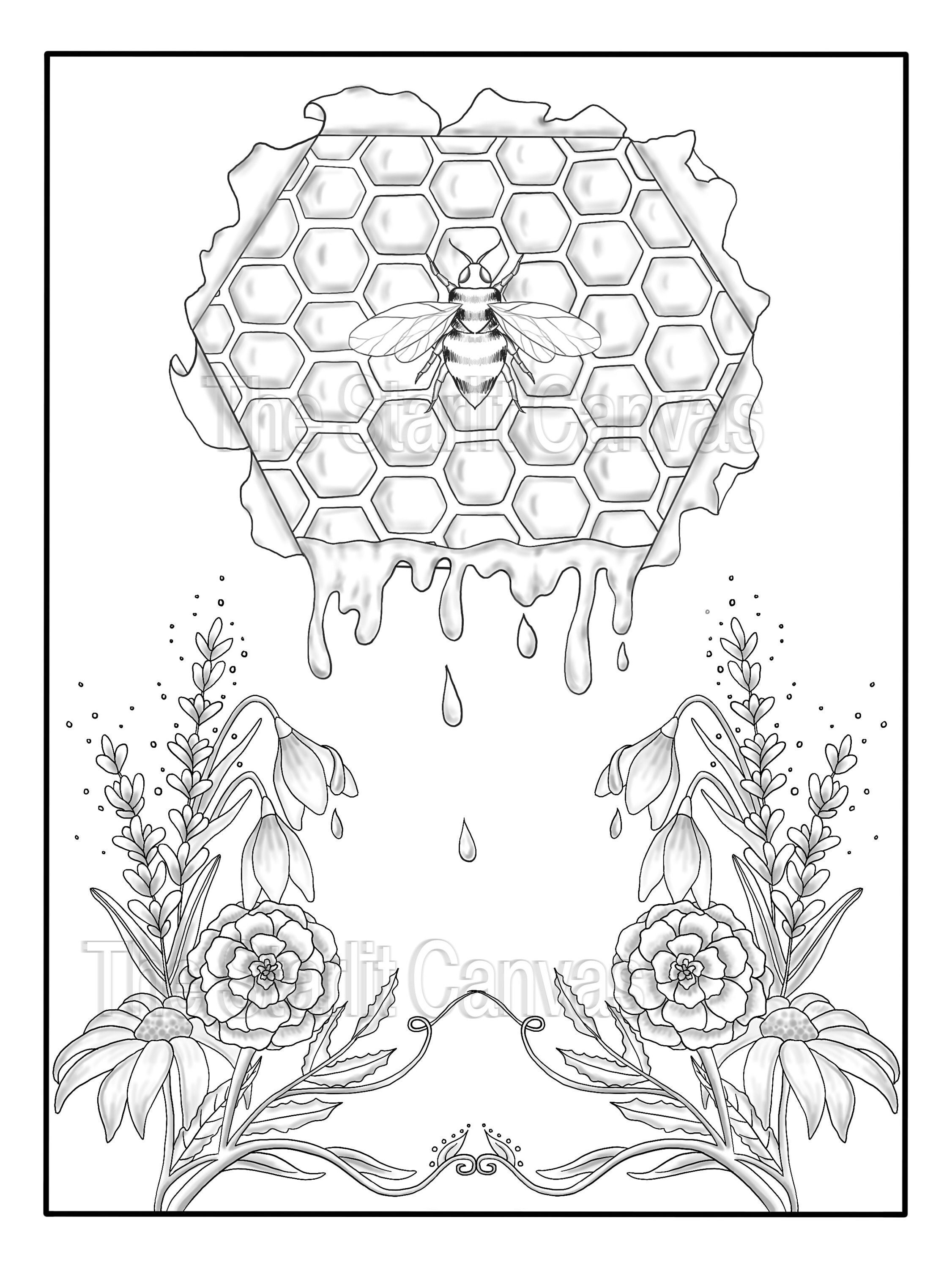 Bee honeyb and flowers coloring page pdf digital download instant download