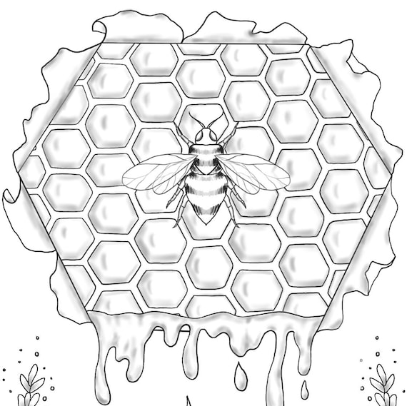 Bee honeyb and flowers coloring page pdf digital download