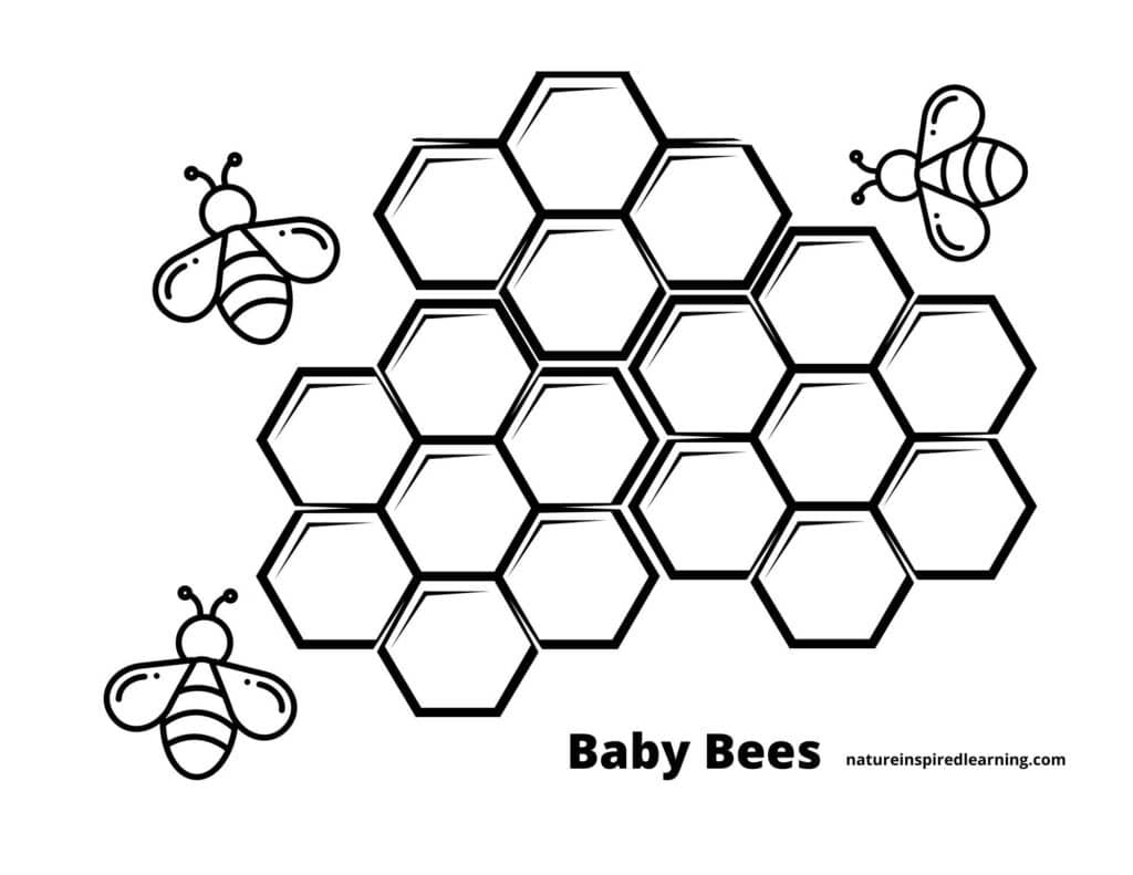 Busy bee coloring pages for kids