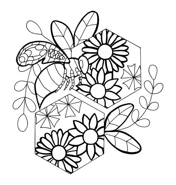 Outline vector illustration of bee honeyb stock illustration