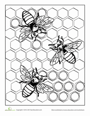 Bee worksheet education bee coloring pages insect coloring pages coloring pages