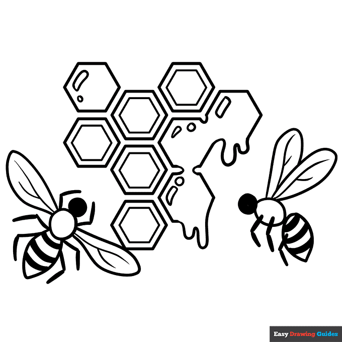 Honeyb coloring page easy drawing guides