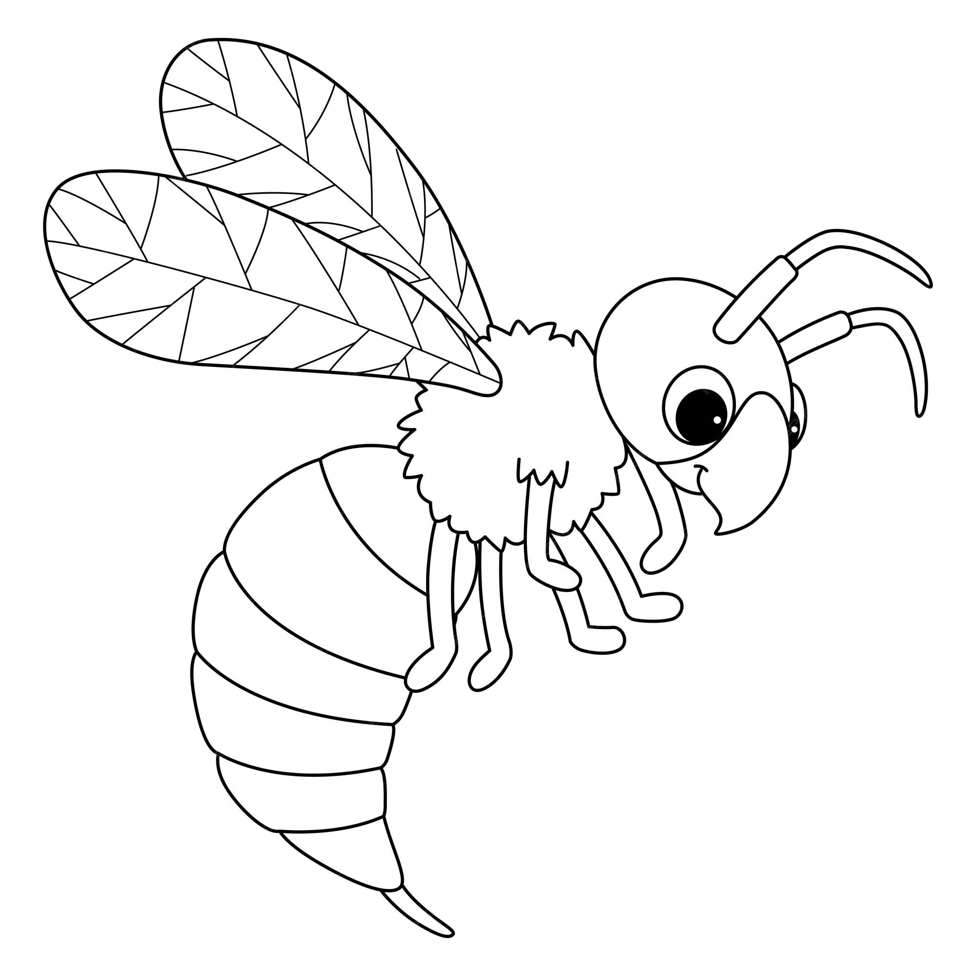 Premium vector hornet animal isolated coloring page for kids