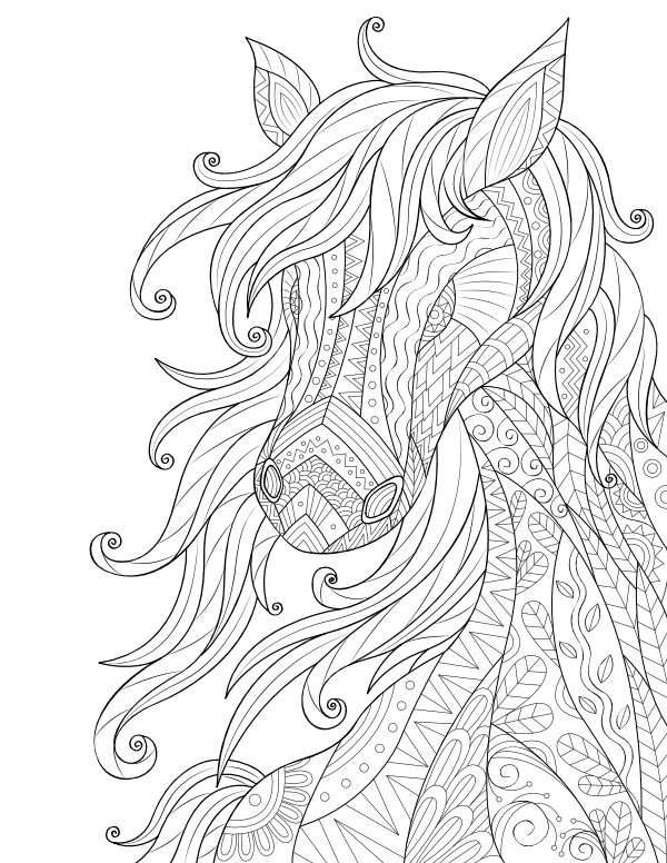 Printable horse adult coloring page