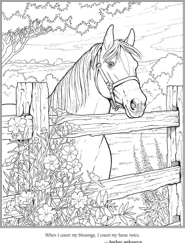 Wele to dover publications horse coloring pages horse coloring farm animal coloring pages