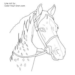 Free horse embroidery patterns for pillows skirts and totes