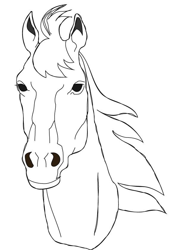 Download free horse face coloring page horse coloring pages horse coloring horse drawings