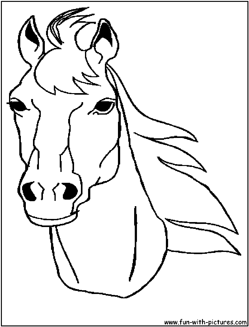 Horse head coloring page