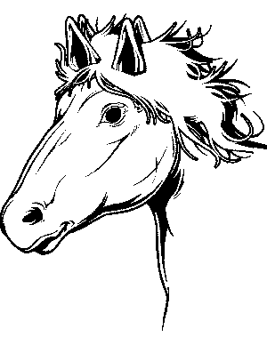 Horse face coloring page