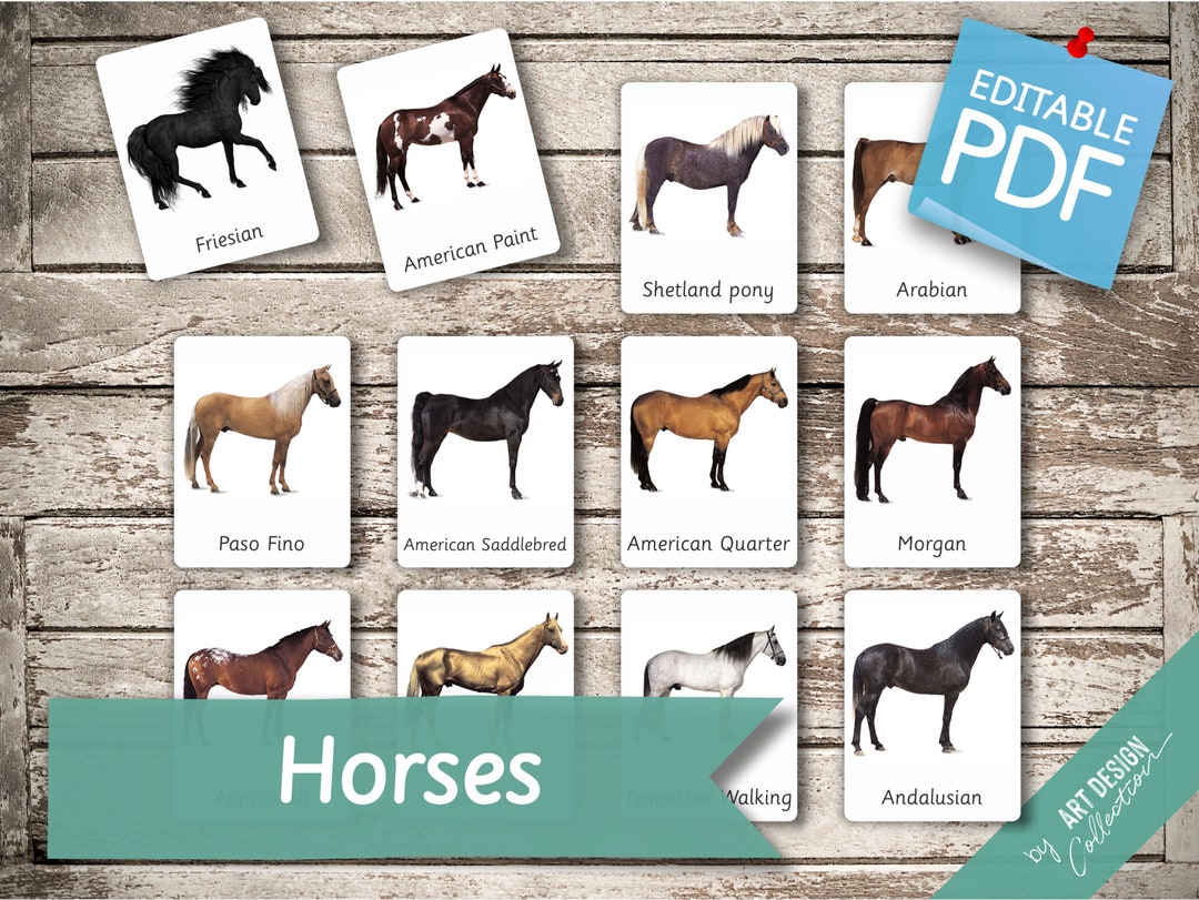 Horses editable montessori cards flash cards nomenclature flashcards pdf printable cards preschool toys horse breeds download now