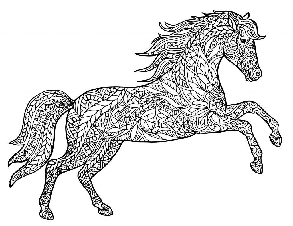 Horse coloring pages for adults