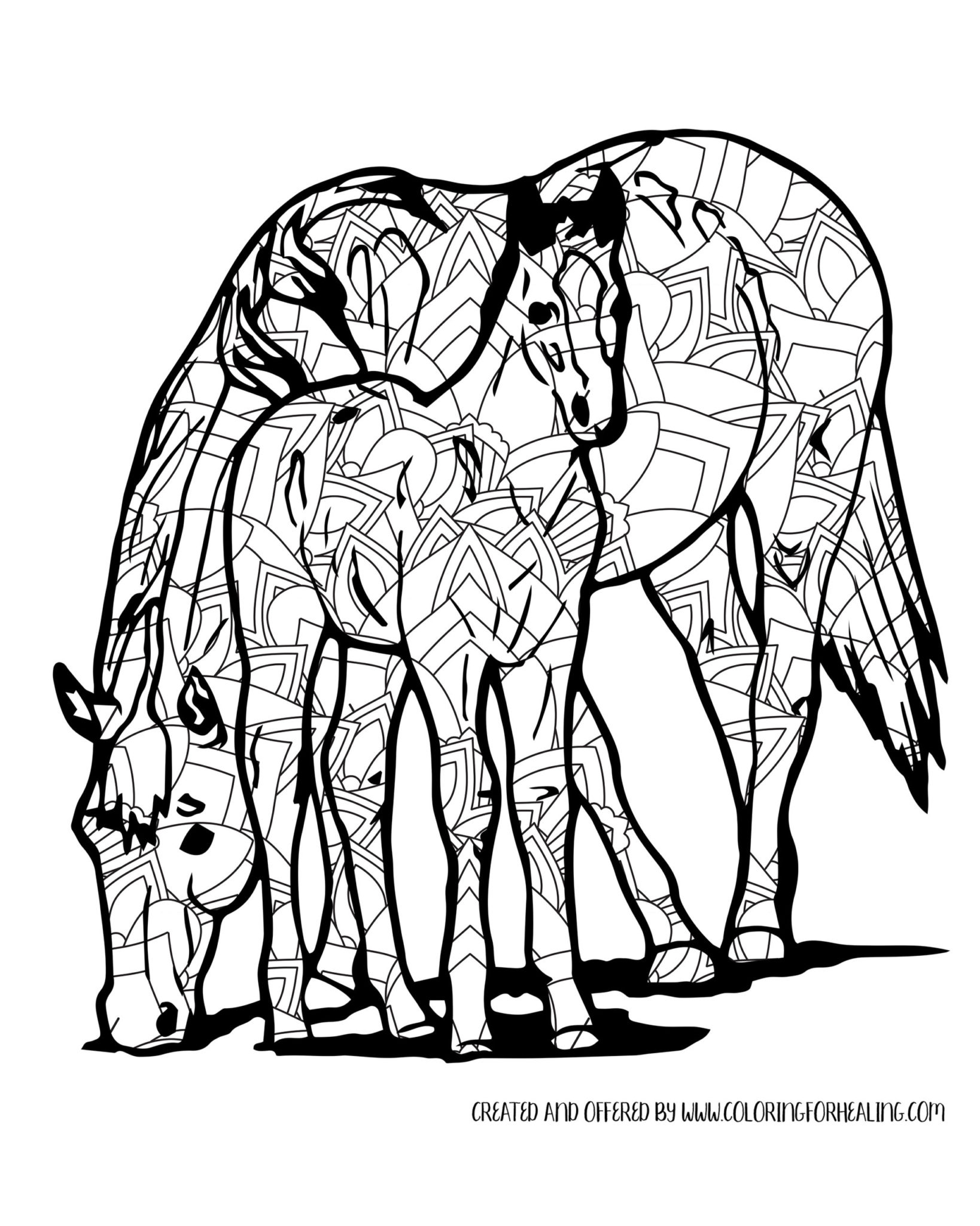 Free printable fun intricate mandala horse with colt adult coloring page coloring for healing