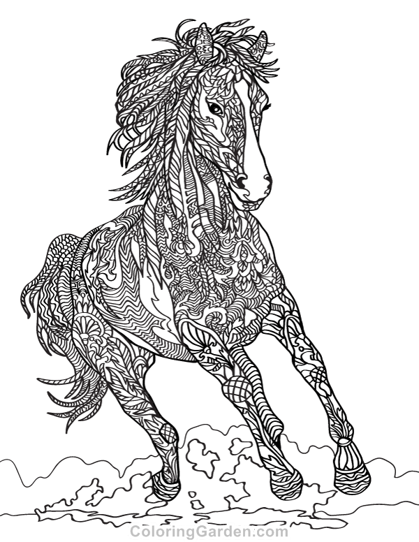 Horse adult coloring page