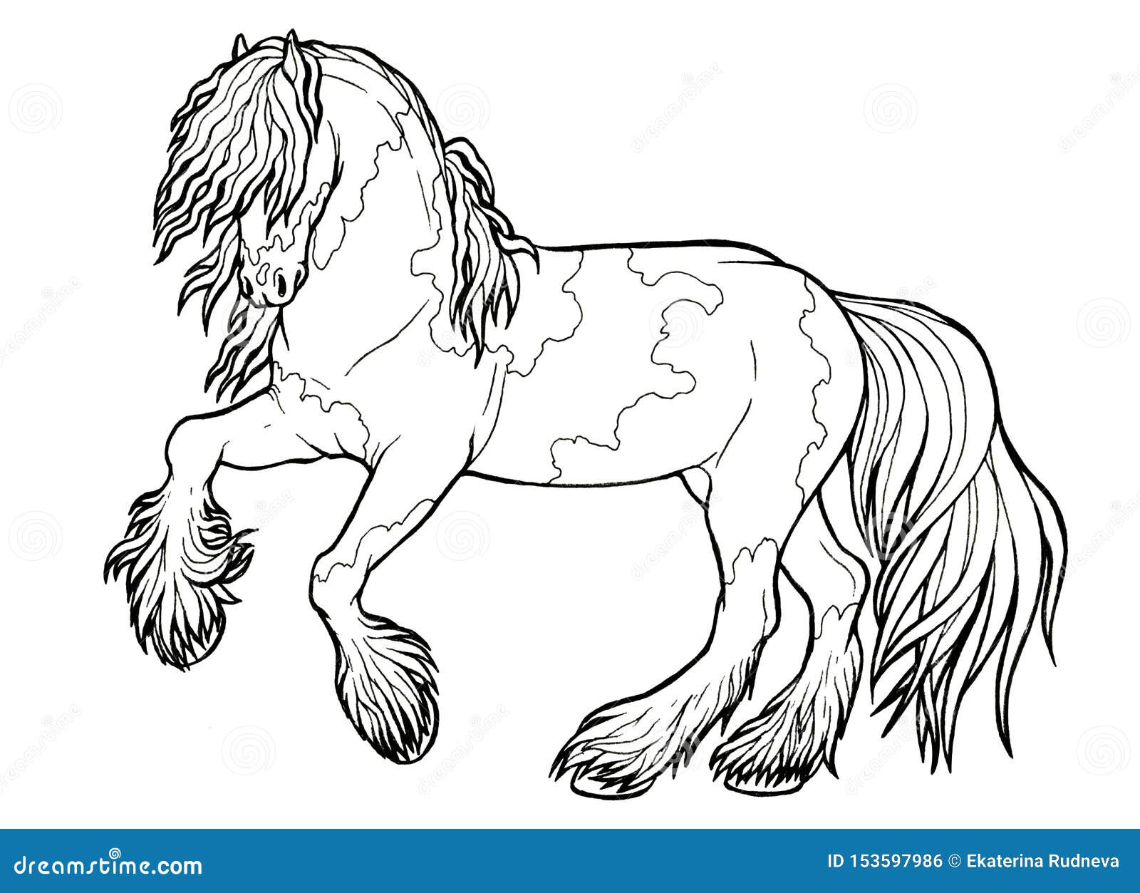 Horse runs trot coloring book the horse runs trot coloring book tinker is a thoroughbred horse stock illustration