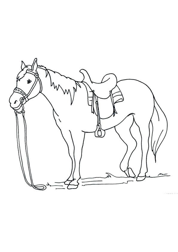 Coloring pages horse coloring page for kids