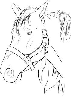 Horse head coloring pages to print horse coloring pages horse coloring wood burning patterns