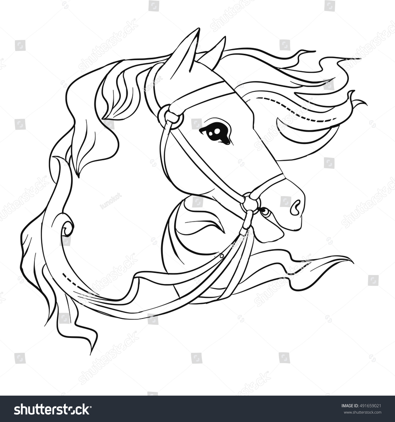 Horse head coloring book stock vector royalty free