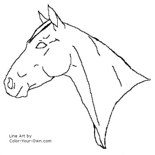 Quarter horse mare headstudy coloring page