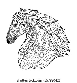 Hakuun stylized head horse coloring book adults liittyvã vektorikuva rojaltivapaa