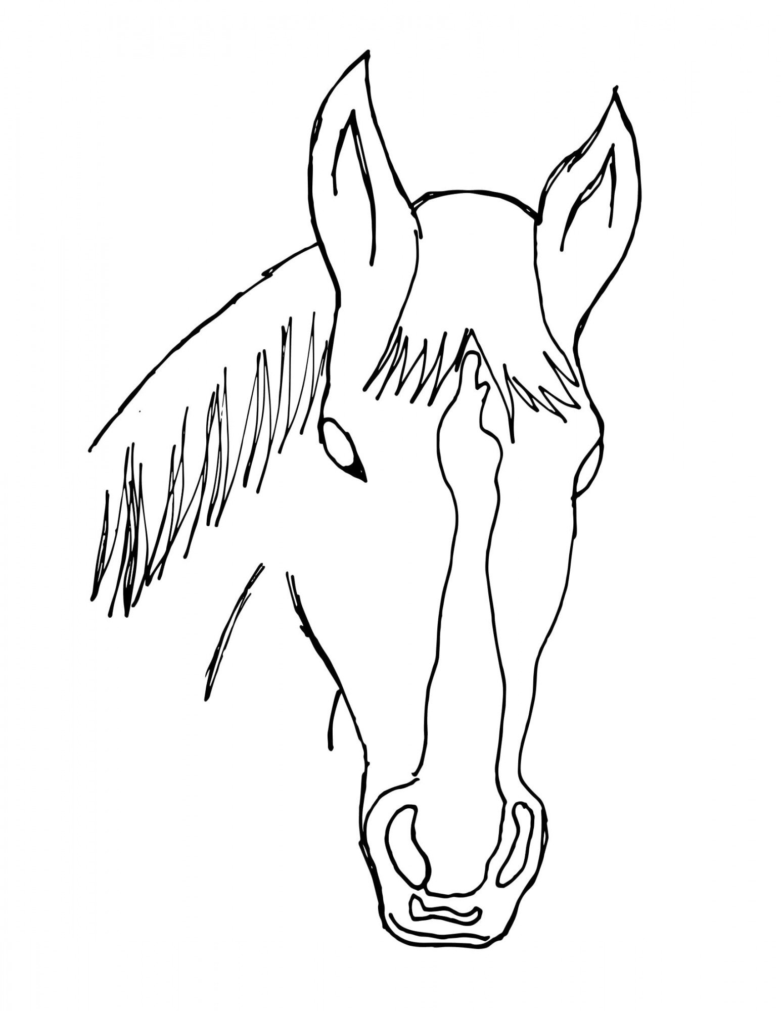 Ali and princess coloring pages bright side youth ranch inc