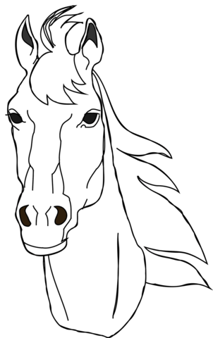 Horse head coloring page free printable coloring pages