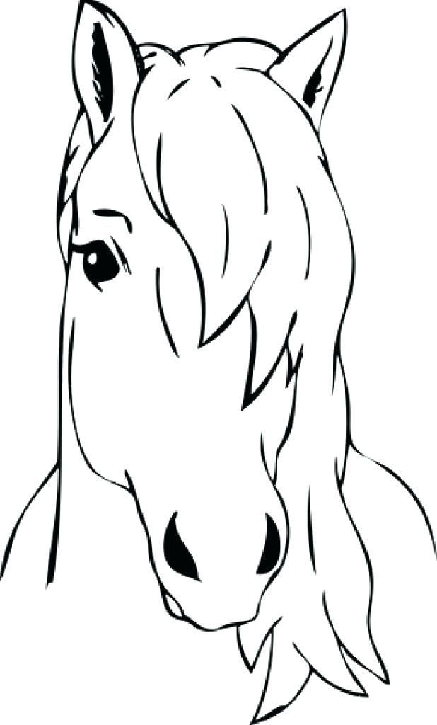 Horse faces drawings horse head coloring page head coloring page blank face coloring page horse face drawing horse coloring horse drawings