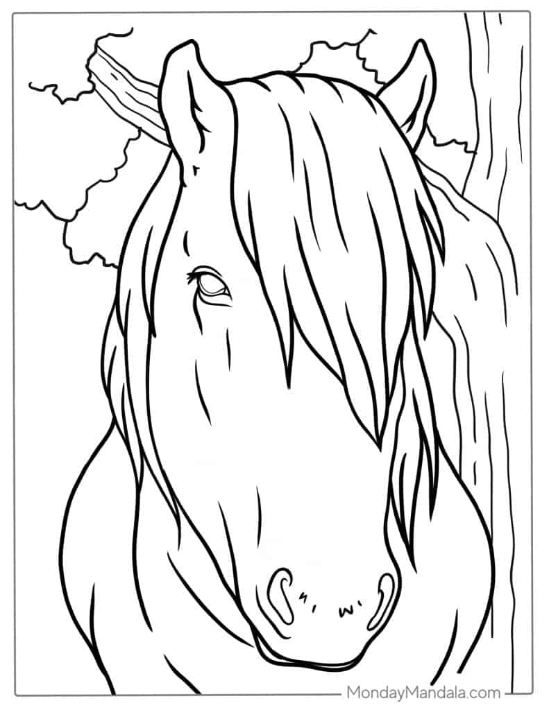 Horse coloring pages free pdf printables