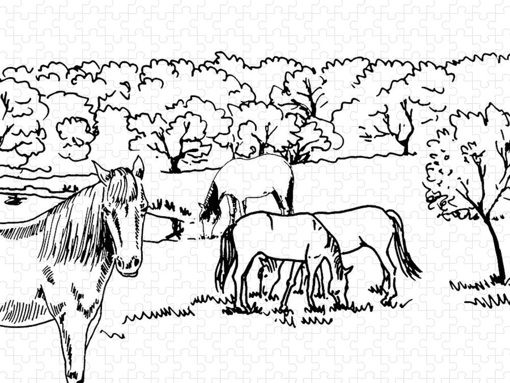 Horses on the ranch ink drawing ix jigsaw puzzle by irina sztukowski
