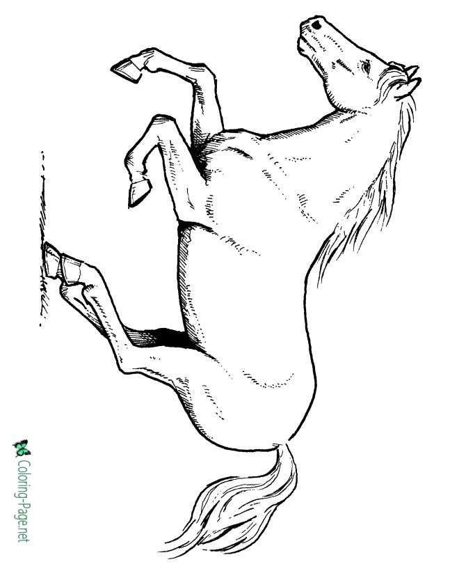 Horse coloring pages