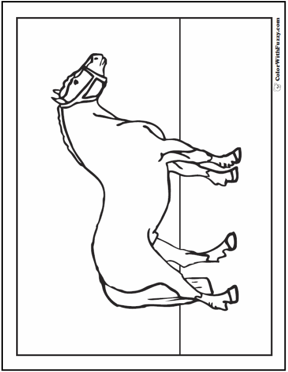 Horse coloring pages for kids belgian