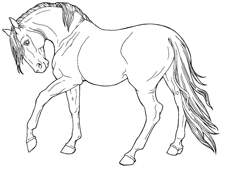 Cool horse coloring pages pdf printable