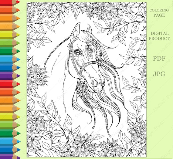 Adult coloring page of portrait of the horse in the garden pdf printable digital download