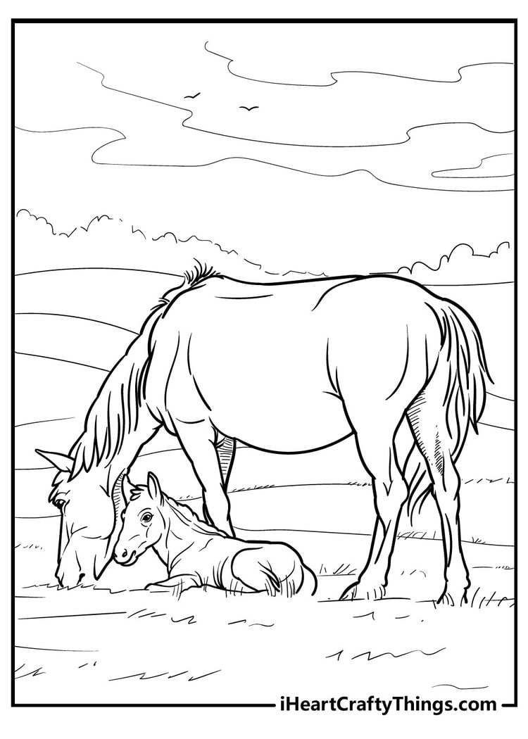 Horse coloring pages free printables